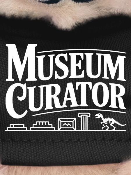 Museum Curator