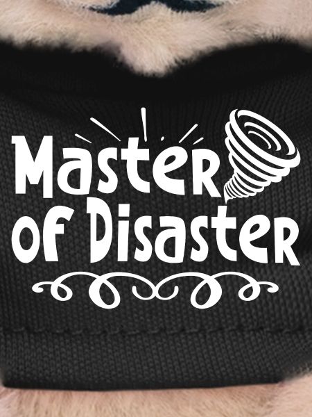 Master of disaster