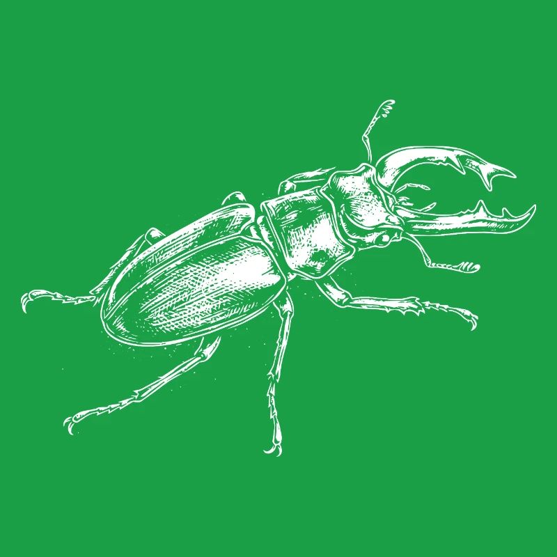 Conception de gros insectes