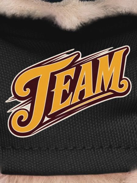 Team
