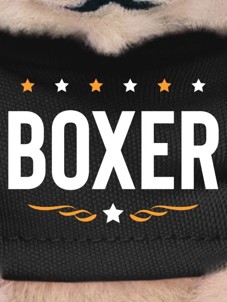 Boxer Boxing Sports