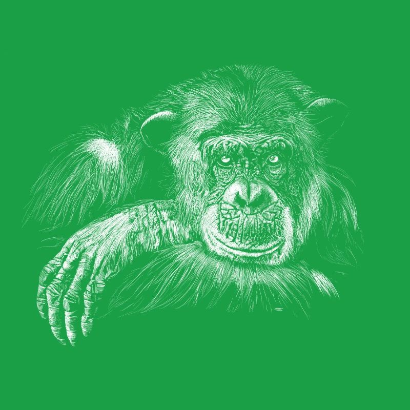 monkey