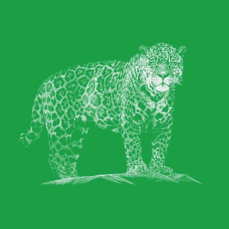 Léopard