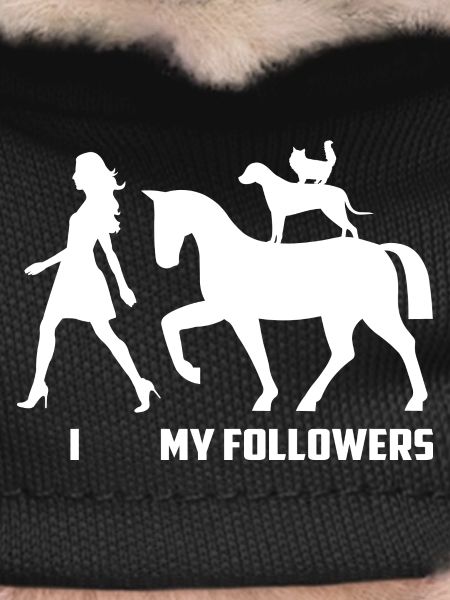 Adeptes de chevaux