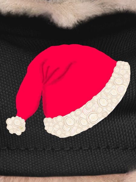 Christmas hat without text