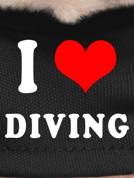 I love diving