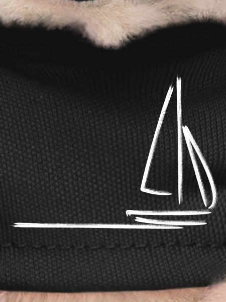 Sailing Sailboat Sailor