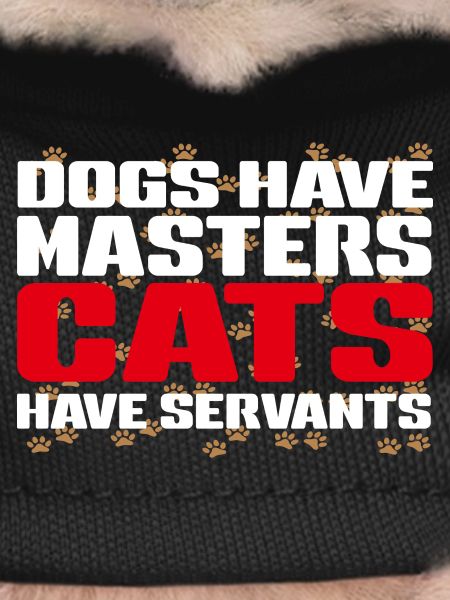 Master dogs, servant cats