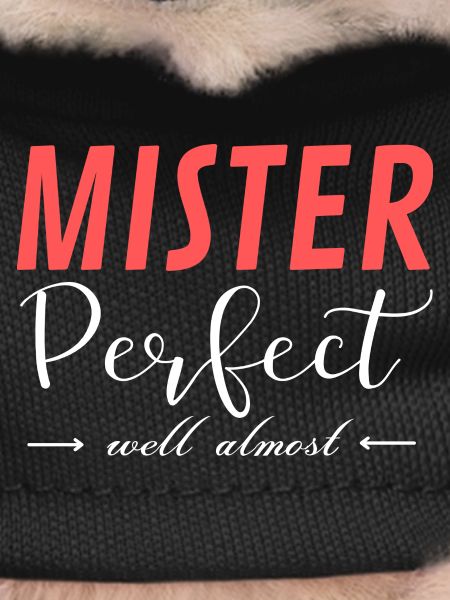 Mister Perfect Well Almost