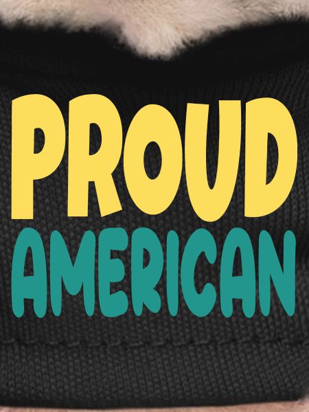 Pround american typograohy
