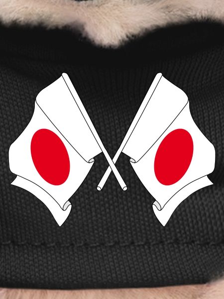 Two flags crossed Japan