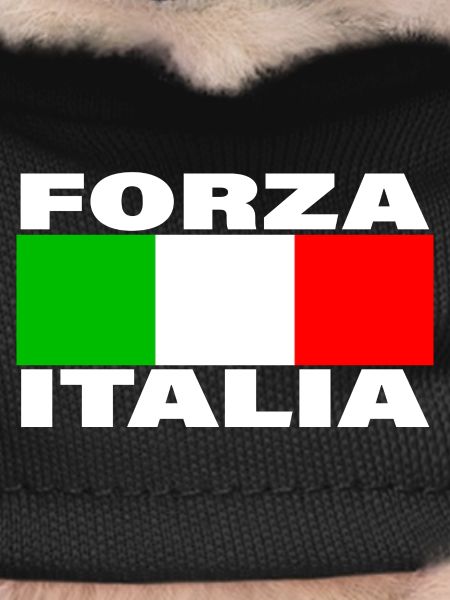 FORZA ITALIA