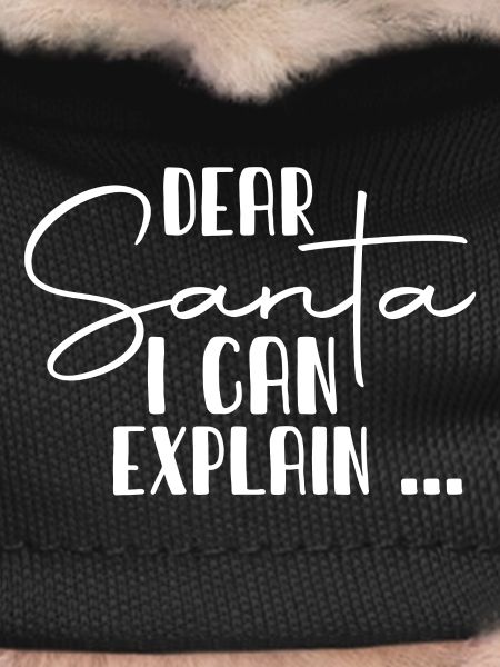 Dear Santa I Can Explain