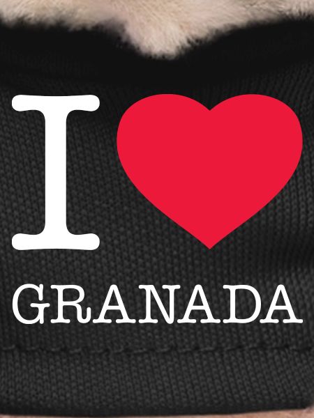 I LOVE GRANADA