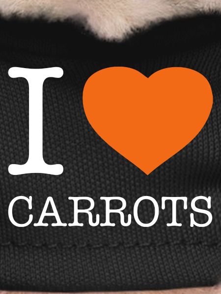 I LOVE CARROTS Karotten