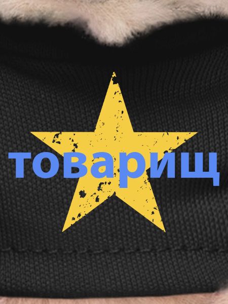 товарищ