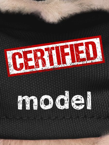 Model