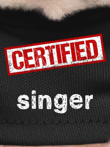 Singer