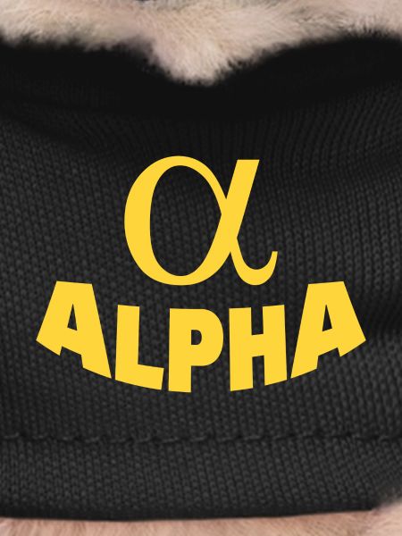 ALPHA
