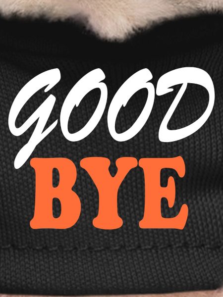 Goodbye