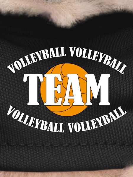 VOLLEYBALL TEAM