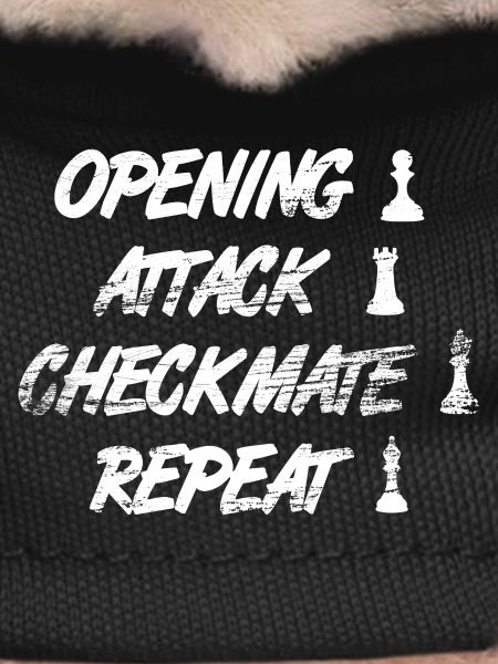 Techniques d’échecs