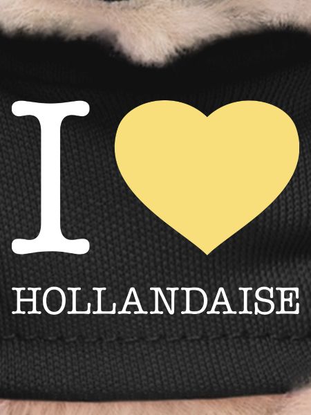 I LOVE HOLLANDAISE