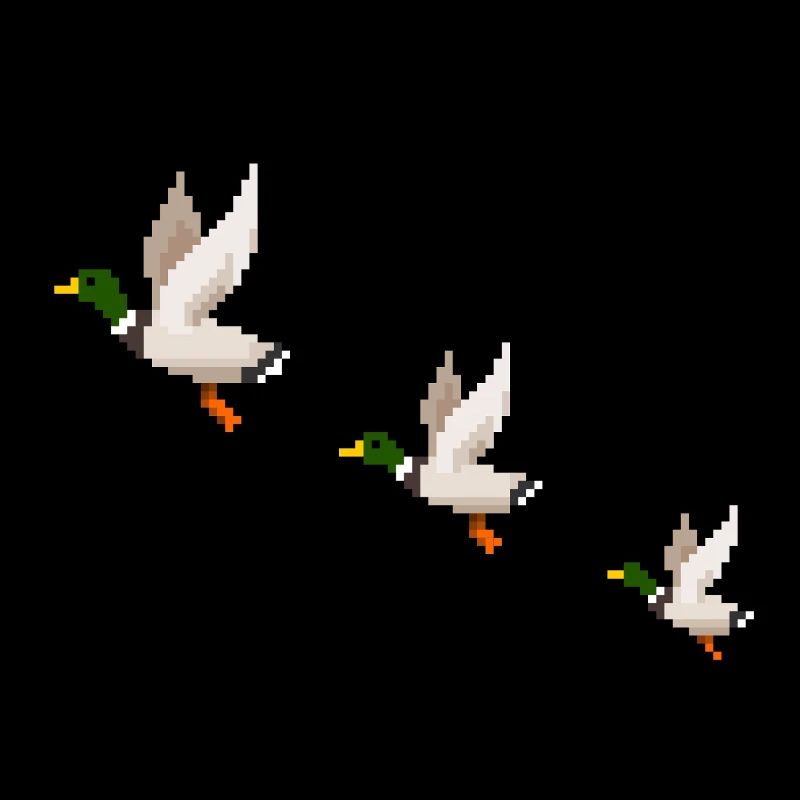 Flying Ducks