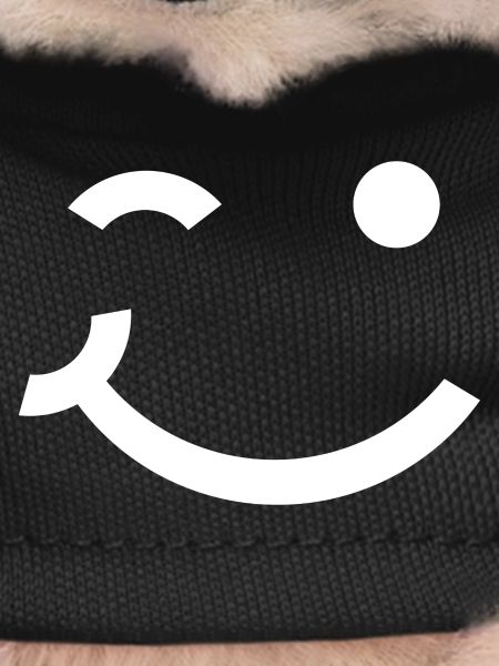 Winking face, Wink smile