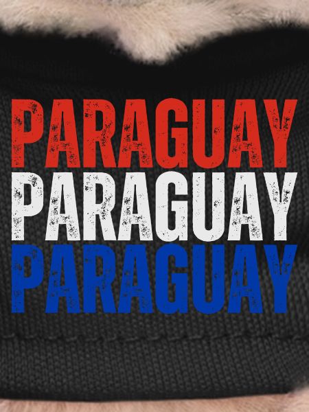 Paraguayan pride, Paraguayan flag