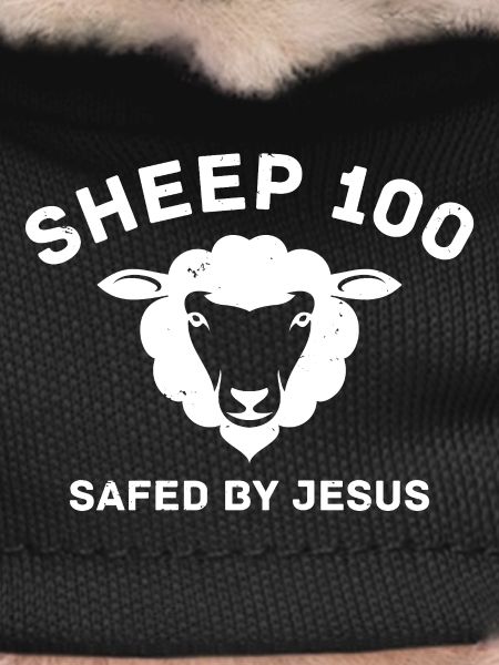 SHEEP 100 SAFED BY JESUS