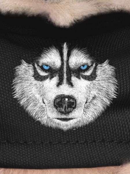 Husky
