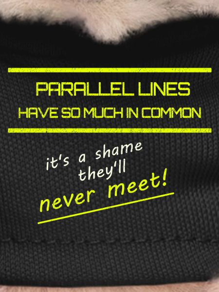 Funny Parallel Lines Math Tee
