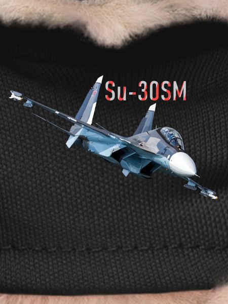 Su-30SM