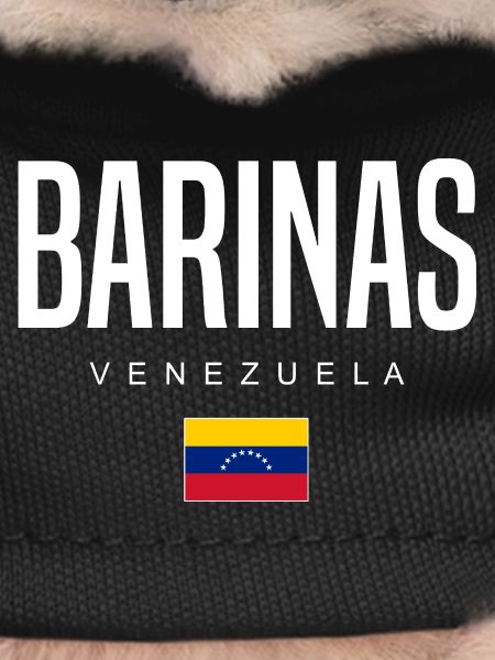 Barinas Venezuela