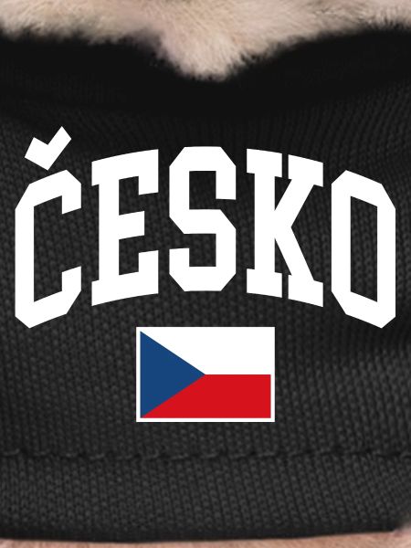 Czech Republic Flag