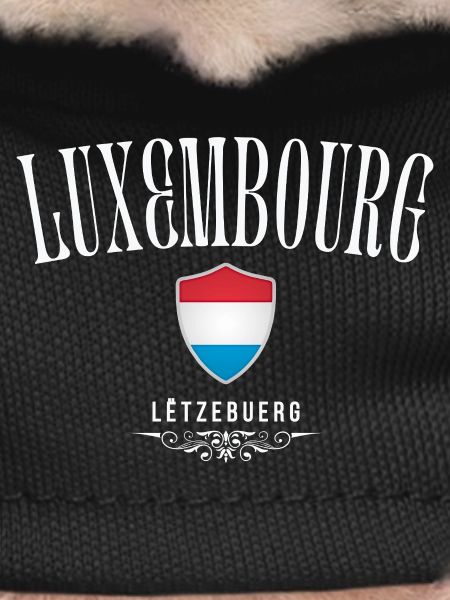 Luxembourg flag, made in Luxembourg