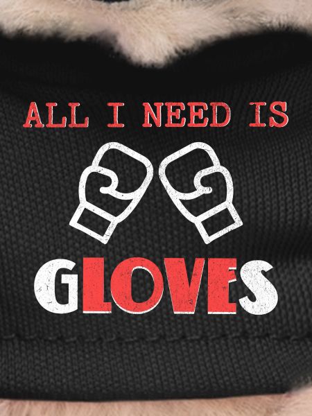 Bold Boxing Gloves Illustration Design