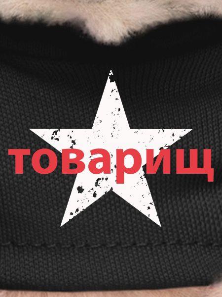 товарищ