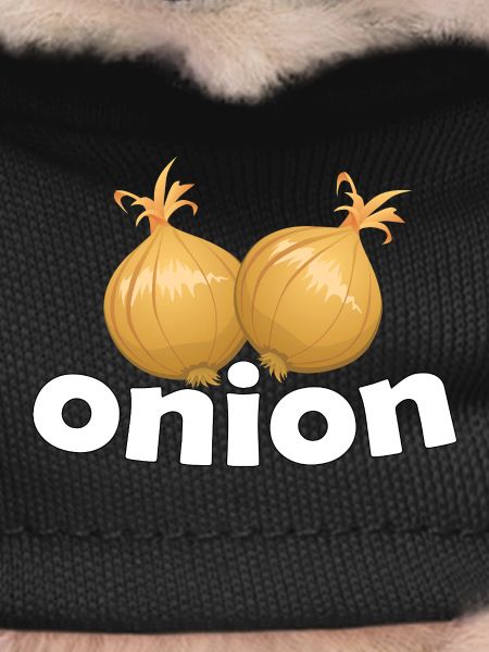 Oignon