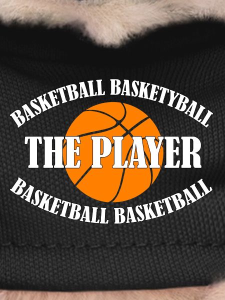 BASKETBALL - THE PLAYER