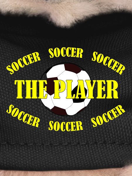SOCCER - THE PLAYER