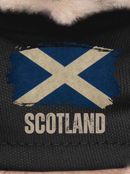 Flag of Scotland, Scottish pride
