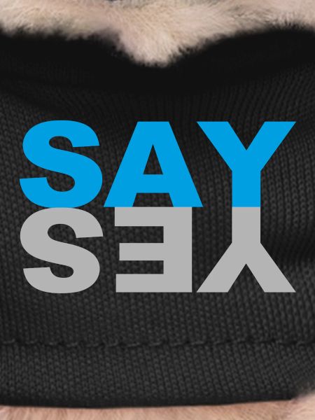 Say Yes