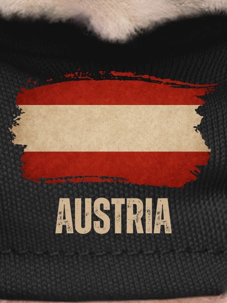 Austrian grunge flag, Austrian pride
