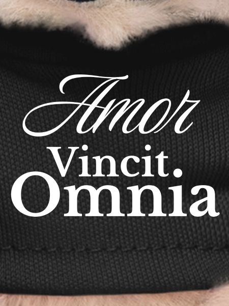 Amor Vincit Omnia Script