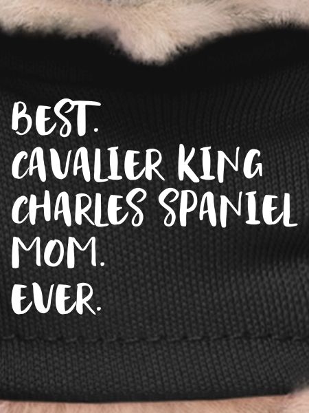 Cavalier King Charles Spaniel