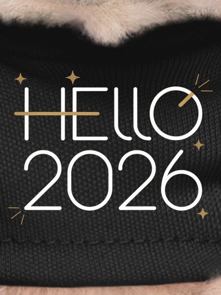 Hello 2026 Neon Sign