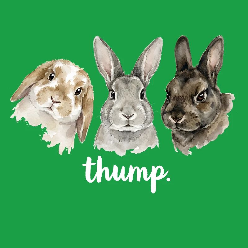 Fun rabbit knocking for rabbit lovers