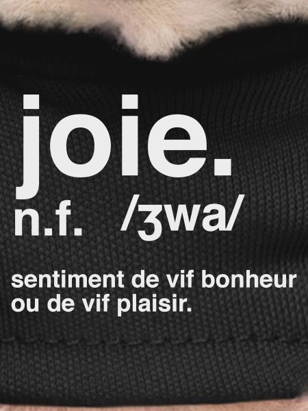 Joy Dictionary Style Definition